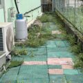IMG_0231-3.jpeg