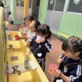 IMG_4207-0.jpeg