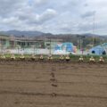 IMG_8465-1.jpeg