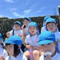 IMG_3717-2.jpeg