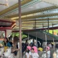 IMG_5026-1.jpeg
