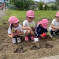 IMG_8916-2.jpeg
