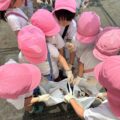 IMG_0671-1.jpeg