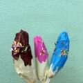 IMG_4695-1.jpeg