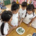 IMG_9443-0.jpeg