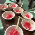 IMG_0062-1.jpeg