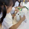 IMG_5984-1.jpeg
