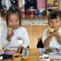 IMG_7968-1.jpeg