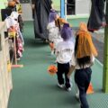 IMG_8068-0.jpeg