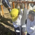 IMG_6961-0.jpeg