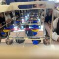 IMG_1490-0.jpeg