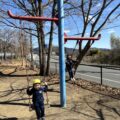 IMG_8244-0.jpeg