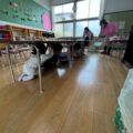 IMG_3050-2.jpeg