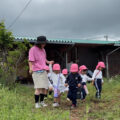 IMG_3058-1.jpeg
