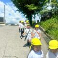IMG_3097-0.jpeg