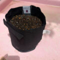 IMG_3116-0.jpeg