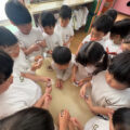 IMG_3117-2.jpeg