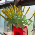 IMG_3196-0.jpeg