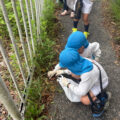 IMG_3242-0.jpeg