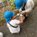 IMG_3244-1.jpeg