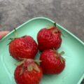 IMG_3302.jpeg