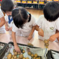 IMG_3751-0.jpeg