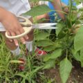 IMG_3784-1.jpeg