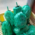IMG_3790-0.jpeg