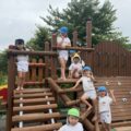 IMG_3872-1.jpeg