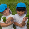 IMG_3956-1.jpeg