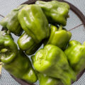 IMG_3957-0.jpeg