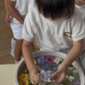 IMG_4291-0.jpeg