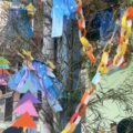 IMG_4327-1.jpeg