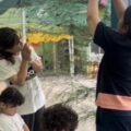 IMG_4329-2.jpeg