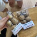 IMG_4433-1.jpeg
