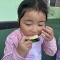 IMG_4963-0.jpeg