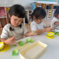 IMG_4527-0.jpeg