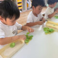 IMG_4529-2.jpeg