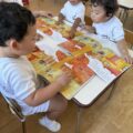 IMG_6470-1.jpeg