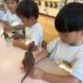 IMG_6490-1.jpeg