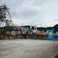IMG_5019.jpeg